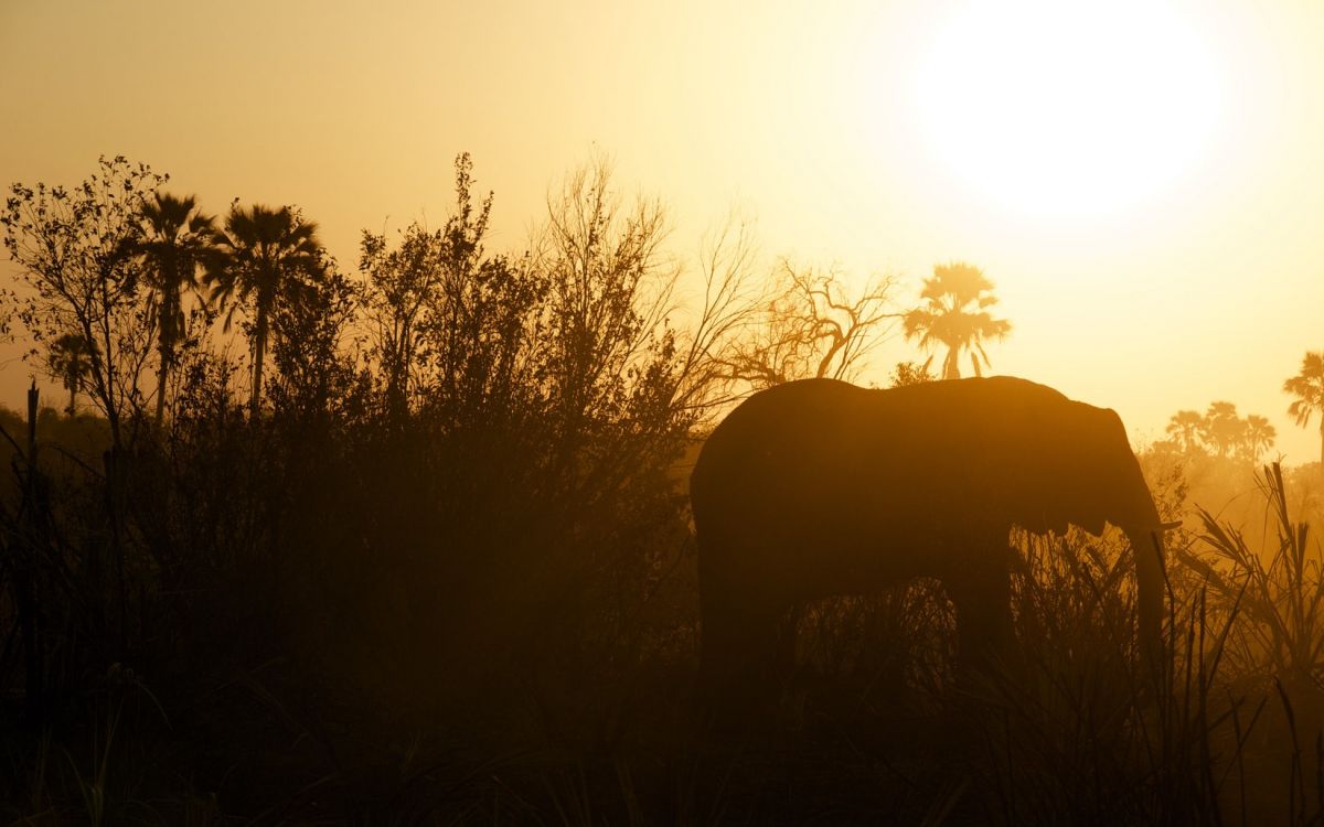 VICTORIA FALLS & BOTSWANA